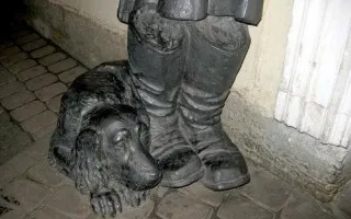 Где взять билеты и проверить перевозчика